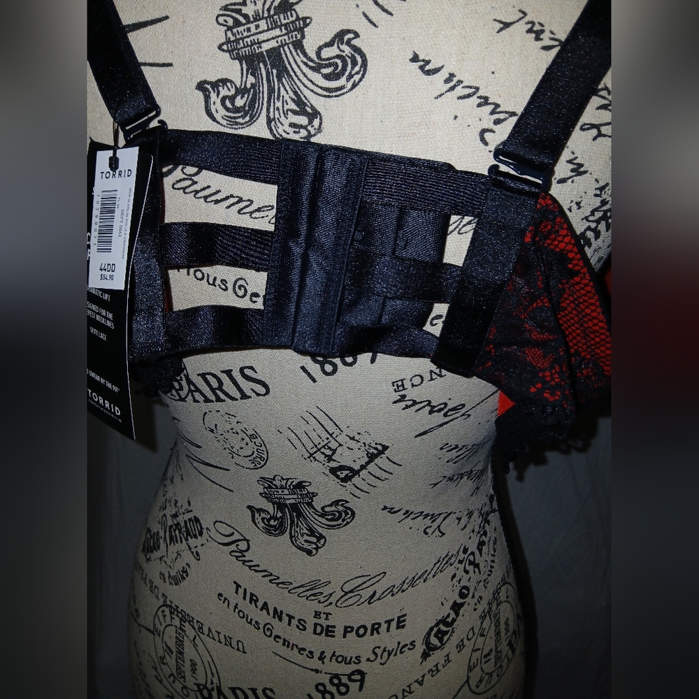 Bra - Picture 6 of 7